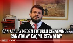 Can Atalay neden tutuklu cezaevinde? Can Atalay kaç yıl ceza aldı?