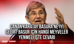 Canan Karatay basura ne iyi gelir? Basur için hangi meyveler yenmeli işte cevabı