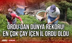 Ordu'dan Dünya Rekoru! En Çok Çay İçen İl Ordu Oldu