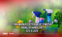 Türk markası deterjan ve temizlik ürünleri hangileri? İşte o liste