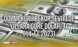 Dolar kuru rekor seviyede - Güncel dolar kuru - Dolar ne kadar oldu? Yıllara göre Dolar/TL - (14.11.2023)