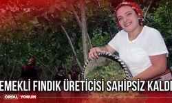 Emekli fındık üreticisi sahipsiz kaldı