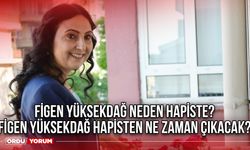 Figen Yüksekdağ neden hapiste? Figen Yüksekdağ hapisten ne zaman çıkacak?