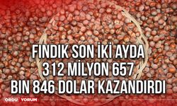 Fındık son iki ayda 312 milyon 657 bin 846 dolar kazandırdı