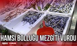 Hamsi bolluğu mezgiti vurdu