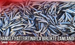 Hamsi Fiyatı Fırtınayla Birlikte Zamlandı