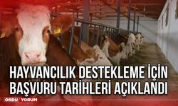 Hayvancılık Destekleme İçin Başvuru Tarihleri Açıklandı