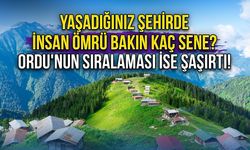 Yaşadığınız şehirde insan ömrü bakın kaç sene? Tunceli, Muğla,  Mardin, Giresun... Ordu'nun sıralaması ise şaşırttı!