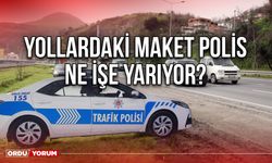 Yollardaki maket polis ne işe yarıyor?