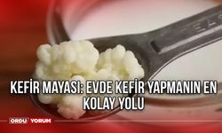 Kefir Mayası: Evde Kefir Yapmanın Kolay Yolu