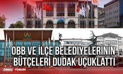 OBB ve İlçe Belediyelerinin Bütçeleri Dudak Uçuklattı