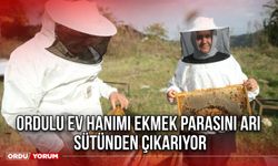 Ordulu Ev hanımı ekmek parasını arı sütünden çıkarıyor