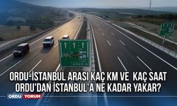 Ordu-İstanbul arası kaç km - Ordu-İstanbul arası kaç saat - Ordu-İstanbul güzergah - Ordu'dan İstanbul'a ne kadar yakar?