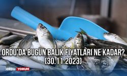 Ordu'da Bugün Balık Fiyatları Ne Kadar? (30.11.2023)