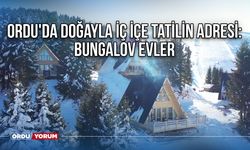 Ordu'da doğayla iç içe tatilin adresi: Bungalov evler - Ordu bungalov ev fiyatları - 2023