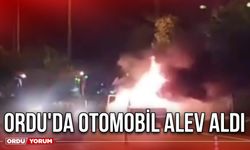 Ordu'da otomobil alev aldı