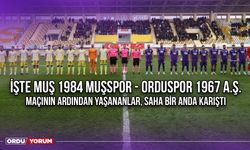 İşte Muş 1984 Muş Spor - Orduspor 1967 A.Ş. Maçının Ardından Yaşananlar, Saha Bir Anda Karıştı