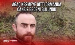 Ağaç Kesmeye Gitti Ormanda Cansız Bedeni Bulundu