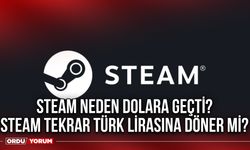 Steam neden dolara geçti? Steam tekrar Türk Lirasına döner mi?