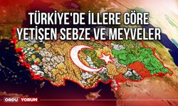 Türkiye'de İllere Göre Yetişen Sebze Ve Meyveler