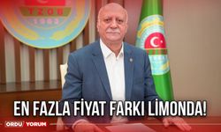 En fazla fiyat farkı limonda!