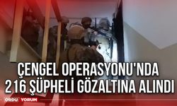 Çengel Operasyonu'nda 216 şüpheli gözaltına alındı