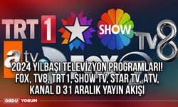 2024 Yılbaşı Televizyon Programları! FOX, TV8, TRT1, Show TV, Star TV, ATV, Kanal D 31 Aralık Yayın Akışı