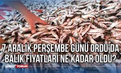 7 Aralık Perşembe günü Ordu'da balık fiyatları ne kadar oldu?