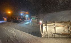 Kastamonu'da kar yağışı etkili oluyor