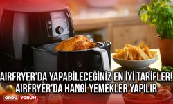 AirFryer'da yapabileceğiniz en iyi tarifler! AirFryer'da hangi yemekler yapılır