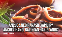 Ançuez nedir, nasıl yapılır? Ançuez hangi balıktan hazırlanır?