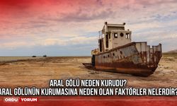 Aral Gölü neden kurudu? Aral gölünün kurumasına neden olan faktörler nelerdir?