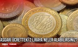 Asgari ücretteki 2 liraya neler alabilirsiniz?