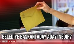 Belediye başkanı aday adayı nedir?