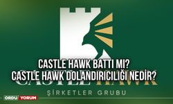 Castle Hawk battı mı? Castle Hawk dolandırıcılığı nedir?