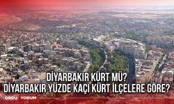 Diyarbakır Kürt mü? Diyarbakır yüzde kaçı Kürt ilçelere göre?