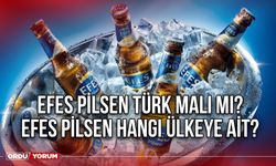 Efes Pilsen Türk malı mı? Efes Pilsen hangi ülkeye ait?