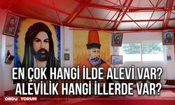 En çok hangi ilde Alevi var? Aleviler hangi illerde var?