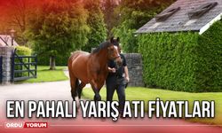 En Pahalı Yarış Atı Fiyatları