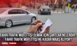 Fahri trafik müfettişi olmak için şartlar nelerdir? Fahri trafik müfettişi ne kadar maaş alıyor?