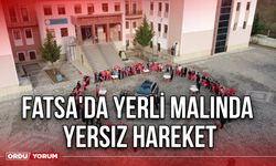 Fatsa'da Yerli Malında Yersiz Hareket