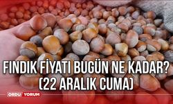 Fındık Fiyatı Bugün Ne Kadar? (22 Aralık Cuma) Ordu ve Giresun'da Güncel Fındık Fiyatı - 1 Kilo Fındık Ne Kadar? 2023