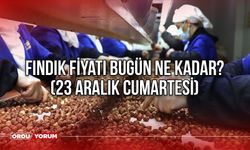 Fındık Fiyatı Bugün Ne Kadar? (23 Aralık Cumartesi) Ordu, Giresun, Trabzon, Samsun, Sakarya, Düzce, Kocaeli Fındık Fiyat