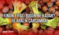 Fındık fiyatı bugün ne kadar? (6 Aralık Çarşamba) Samsun, Giresun, Trabzon, Düzce fındık fiyatı - 2023