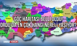 Göç Haritası Belli Oldu! Ordu'da En Çok Hangi Nereli Yaşıyor?