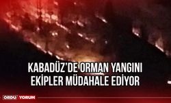 Kabadüz'de Orman Yangını Ekipler Müdahale Ediyor