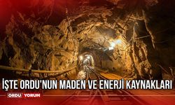 İşte Ordu'nun maden ve enerji kaynakları - Ordu'da hangi madenler var? Ordu'nun madenleri