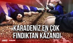 Karadeniz En Çok Fındıktan Kazandı