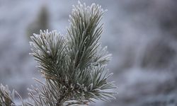 Kars'ta soğuk hava etkili oluyor