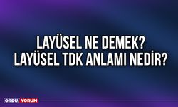 Layüsel ne demek? Layüsel TDK anlamı nedir?